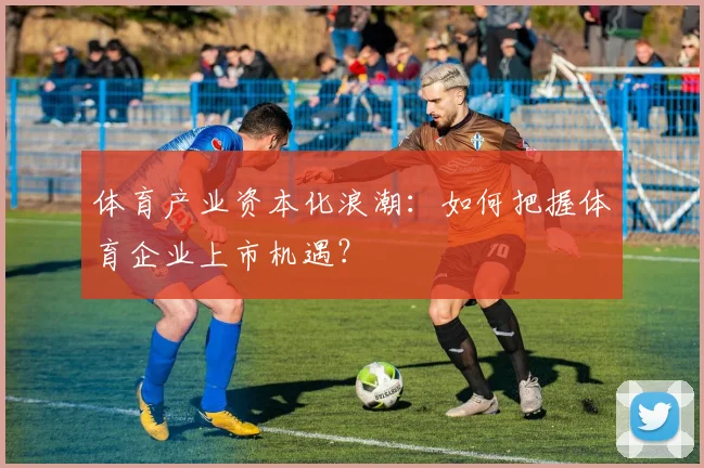 体育产业资本化浪潮:如何把握体育企业上市机遇?