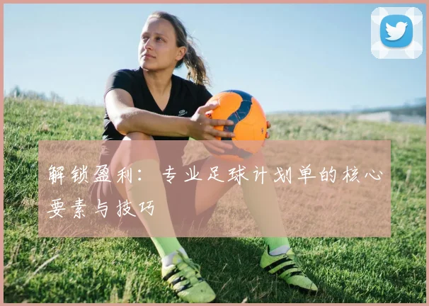 解锁盈利：专业足球计划单的核心要素与技巧